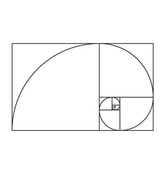 Golden Ratio Spiral Geometric Ideal Proportion