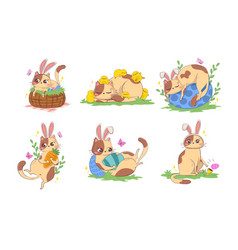 Set Of Clipart With A Cute Cartoon Cat In Bunny