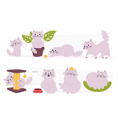 Cute Cats Domestic Purebred Pet Animal Cartoon