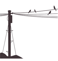 Telegraph Pole Birds