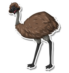 Emu Bird Cartoon Sticker