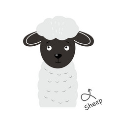 Sheep Cartoon Character