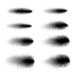 Boa Feathers Art Brushes Elements