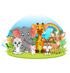 Cute Wild Animals Group