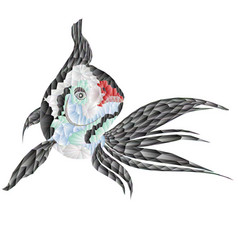 Fish White Koi Carp Two Polygons