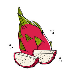 Pitaya Fruit Exotic Dragon Fruit Design