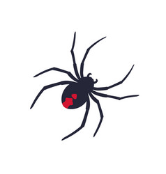 Red Back Spider On White Art