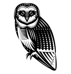 Stylish Northern Owl Side View Monochrome