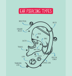 Ear Piercing Diagram Top Different Types Of Ear