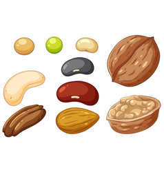 Group Of Different Nuts Isolated