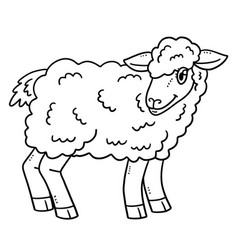 Baby Sheep Isolated Coloring Page For Kids