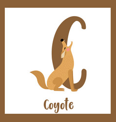 Letter C Vocabulary Howling Coyote