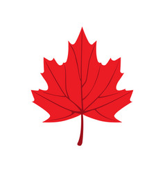 Maple Leaf