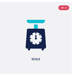 Two Color Scale Icon From Delivery And Logistic