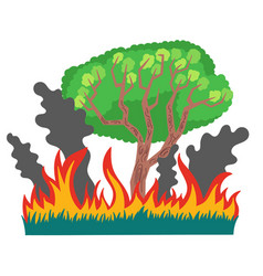 Forest And Grass In Fire And Smoke