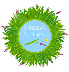 Fresh green spring grass background royalty free vector