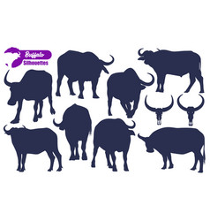 Animal Buffalo Silhouettes