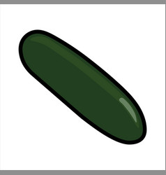 Cucumber Vegetable