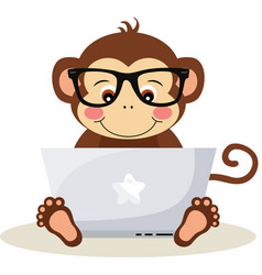 Cute Monkey Working With Laptop