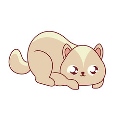 Pet Cat Icon