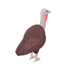 Isometric Turkey