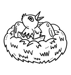 Baby Bird Isolated Coloring Page For Kids