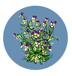 Johnny Jump Up Pansy Flowers Viola Art