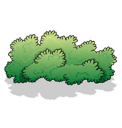 Green cartoon shrub Royalty Free Vector Image - VectorStock