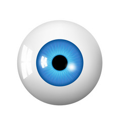 Human Eyeball Eye With Bright Blue Of Eye Ball