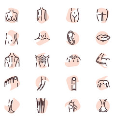 Body Parts On A White Background