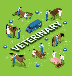 Farm Veterinary Isometric Flowchart