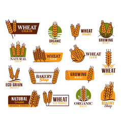 Cereal Icons With Wheat Rice Oat Ears