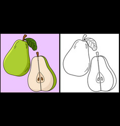 Pear Fruit Coloring Page Colored