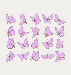 Pink Butterfly Collection