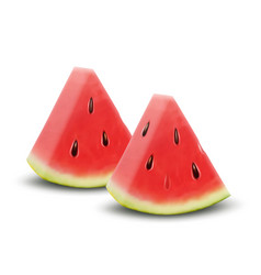 Realistic Ripe Fresh Fruit Watermelon Piece