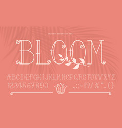 Elegant Monogram Font Line Type Retro Typeface