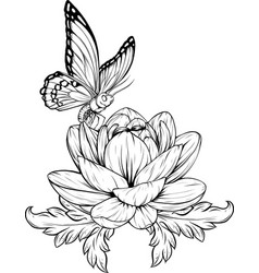 Outline Drawing Of Butterfly