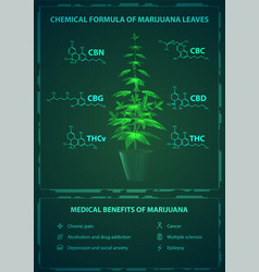 Medical Benefits And Chemical Formulas