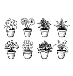 Set Of House Plants In Pots Outline