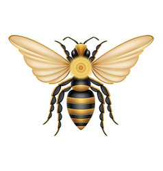 Bee Insects Wildlife Animals