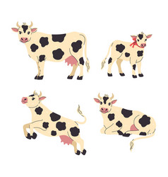 Set Of White With Black Spots Cows And Calf