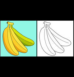 Banana Fruit Coloring Page Colored