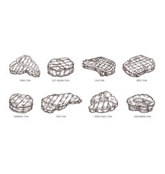 Sketch Steak Hand Drawn Beef Food Engraving Bbq