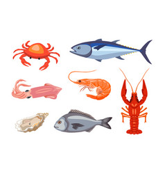 Different Seafood Or Marine Animals Cartoon