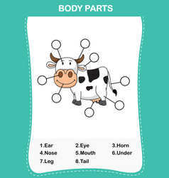 Cow Vocabulary Part Of Body