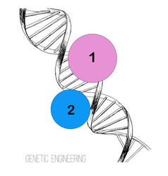 Hand Drawn Concept Dna Spiral