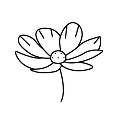 Cosmos Flower Spring Line Icon