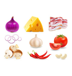 Spice And Herb Royalty Free Vector Image Vectorstock