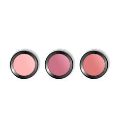 Check Blush Powder Compact Palette Decorative