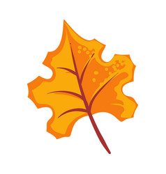 Fall Leaf Design